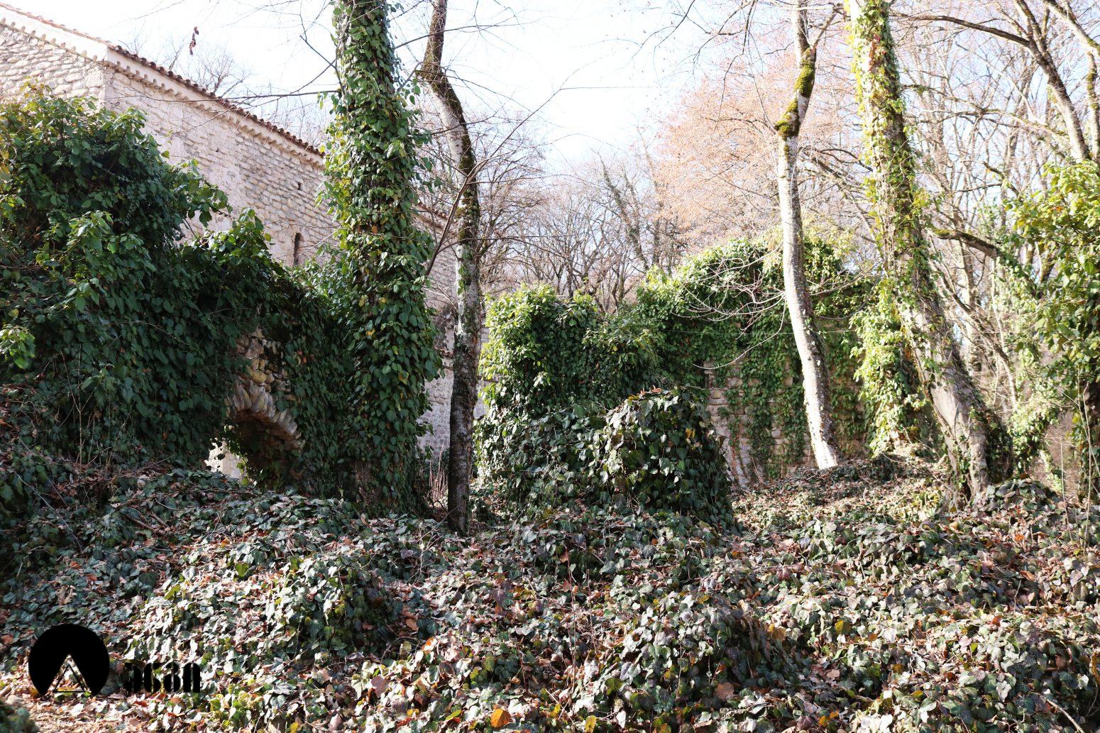 ზეგაანის ღვთისმშობლის სახელობის სამონასტრო კომპლექსი