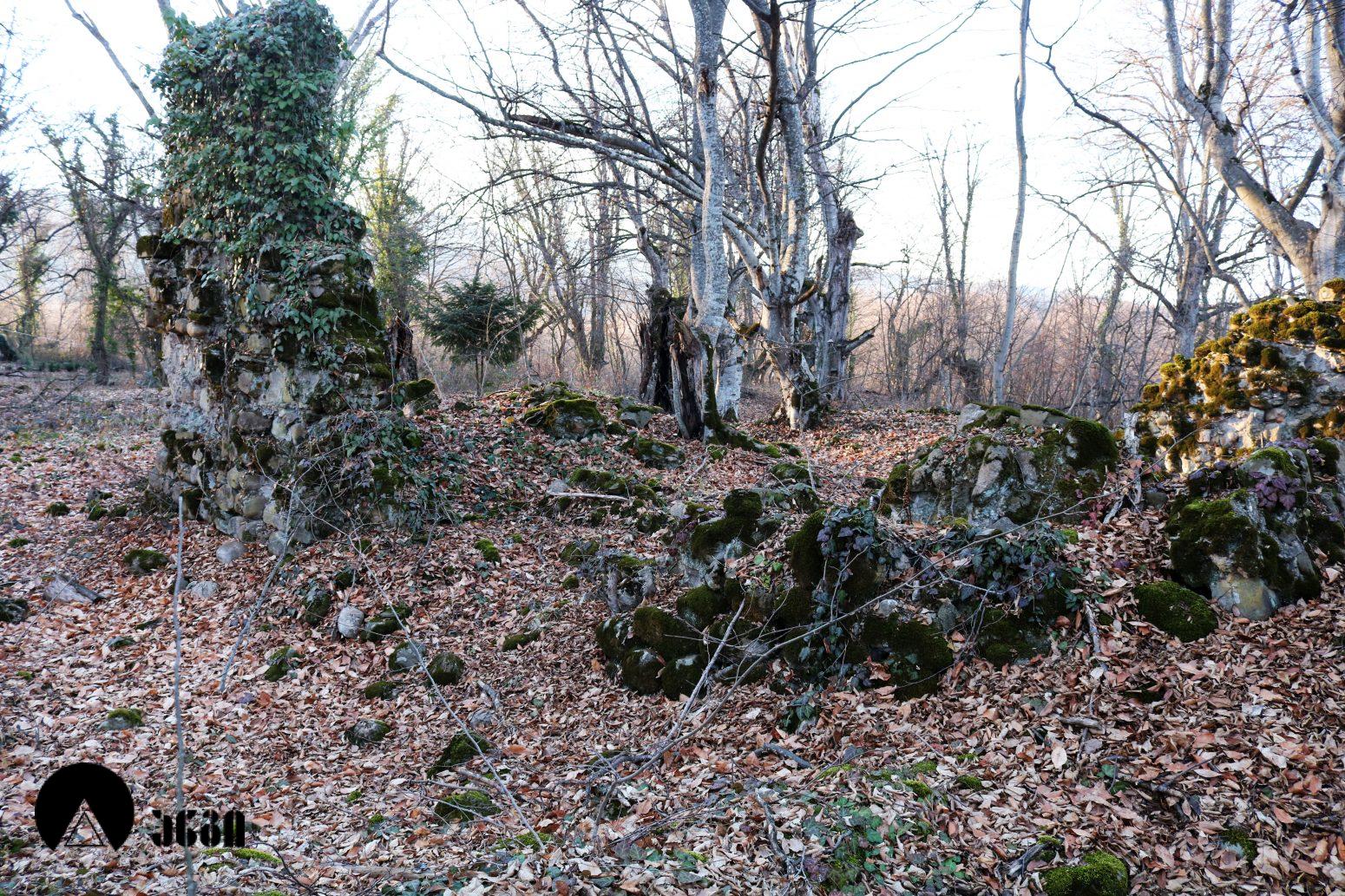 სანაგირეს ტეტრაკონქი