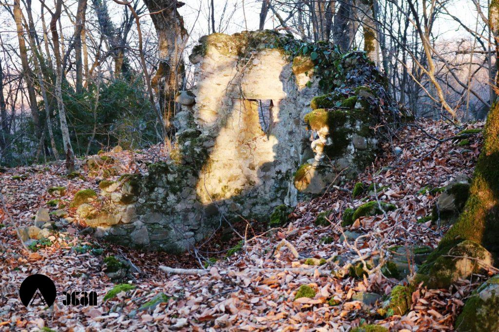 სანაგირეს ტეტრაკონქი