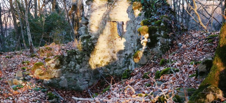 სანაგირეს ტეტრაკონქი სანაგირეს ტეტრაკონქი