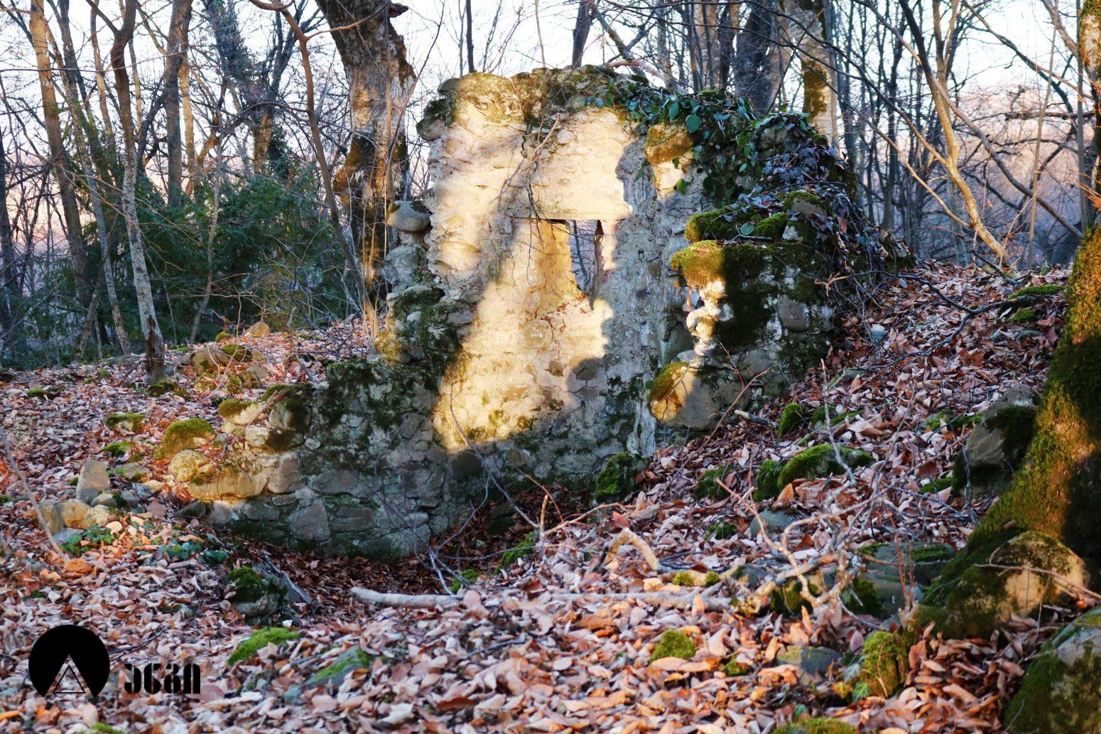 სანაგირეს ტეტრაკონქი