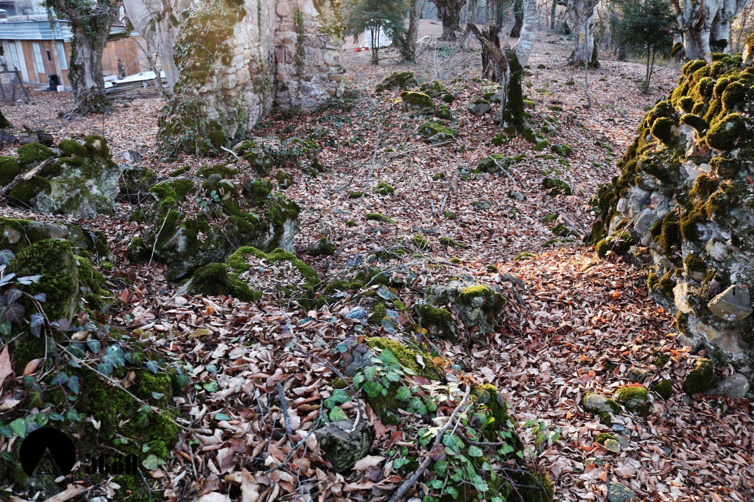 სანაგირეს ტეტრაკონქი
