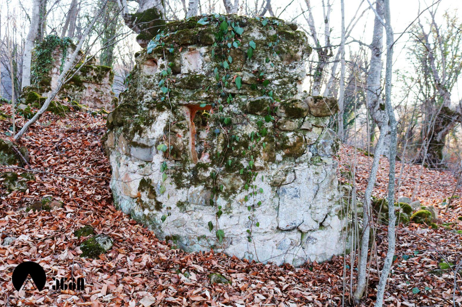 სანაგირეს ტეტრაკონქი
