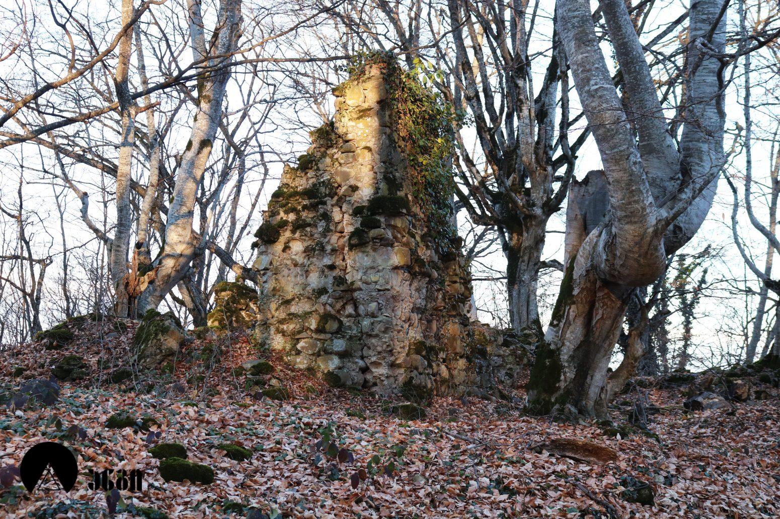 სანაგირეს ტეტრაკონქი