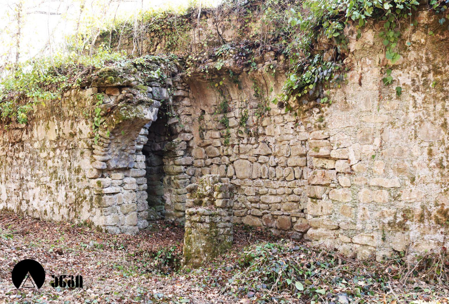 შაშიანის სამება (შაშიანის სამების კომპლექსი)