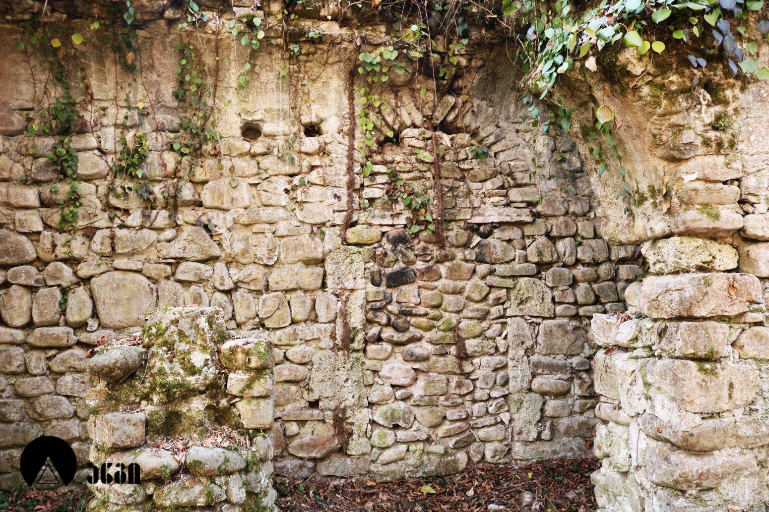 შაშიანის სამება (შაშიანის სამების კომპლექსი)