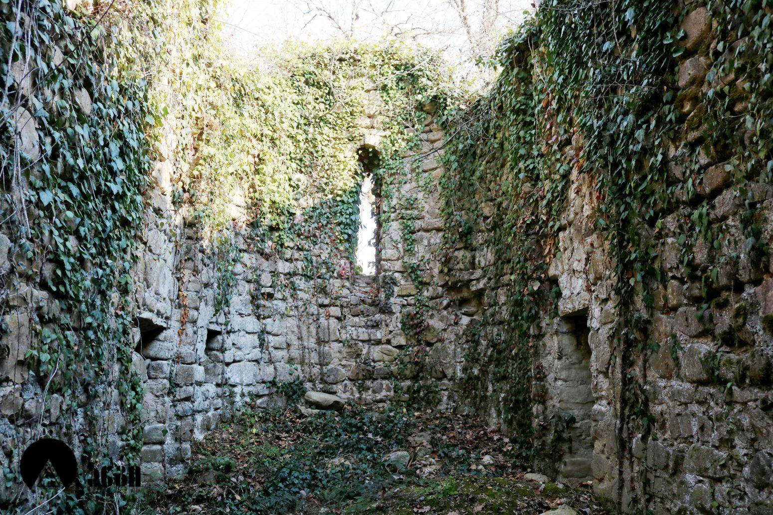 შაშიანის სამება (შაშიანის სამების კომპლექსი)