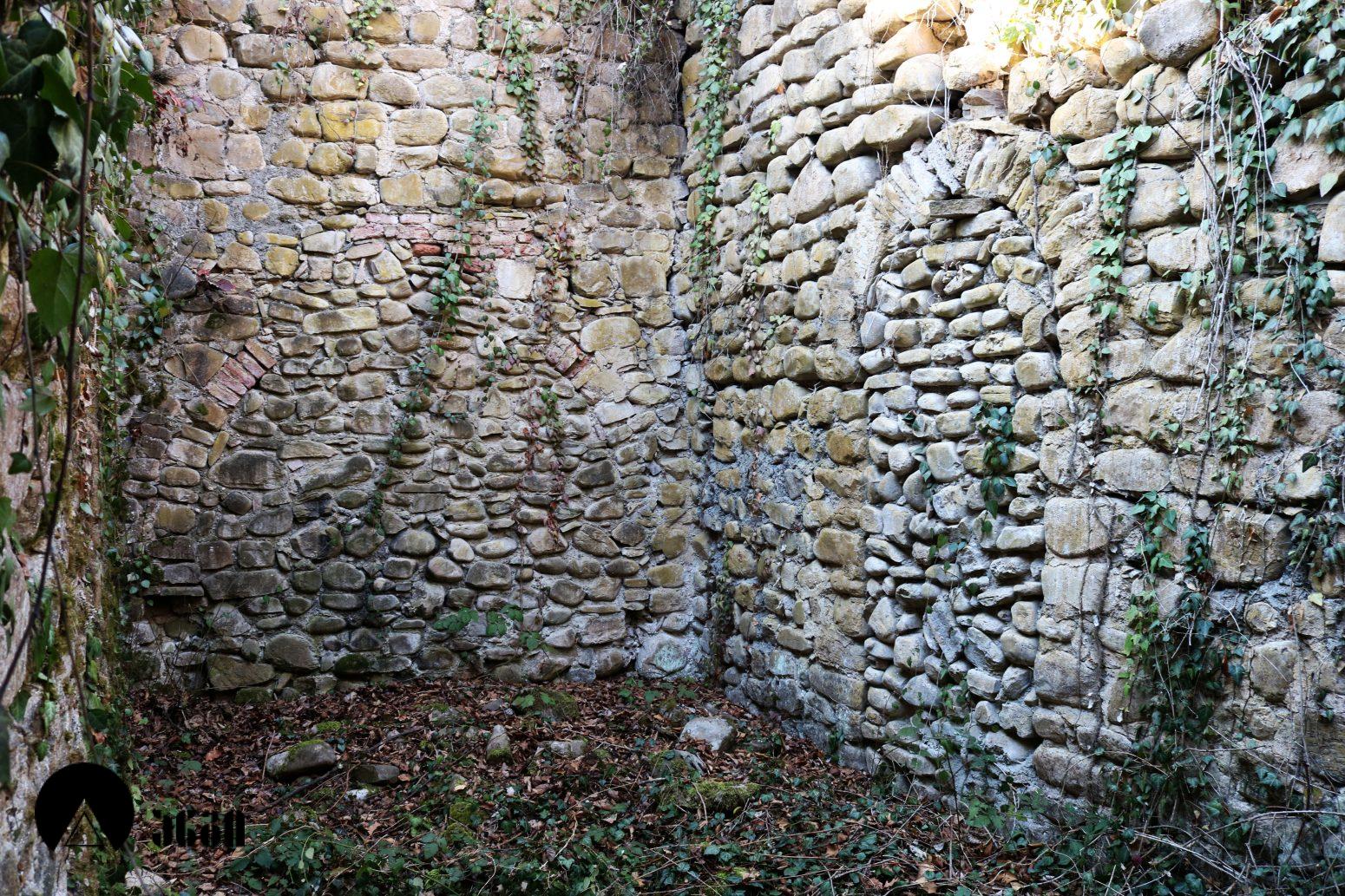 შაშიანის სამება (შაშიანის სამების კომპლექსი)