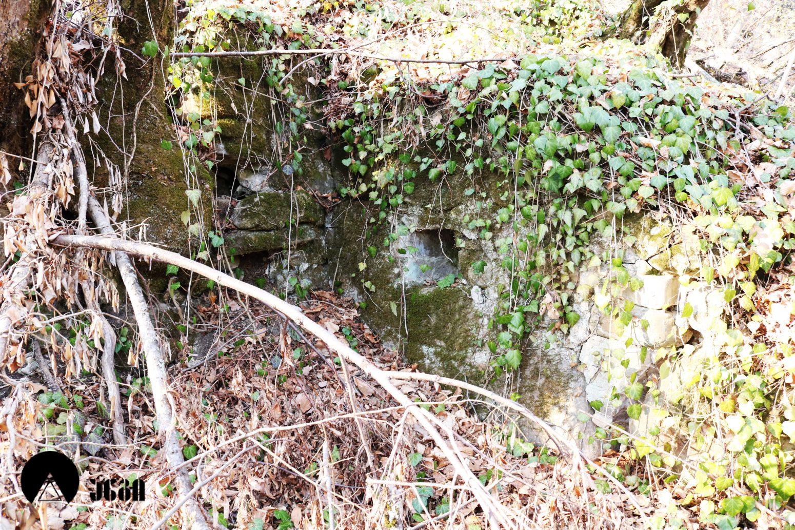 შაშიანის სამება (შაშიანის სამების კომპლექსი)