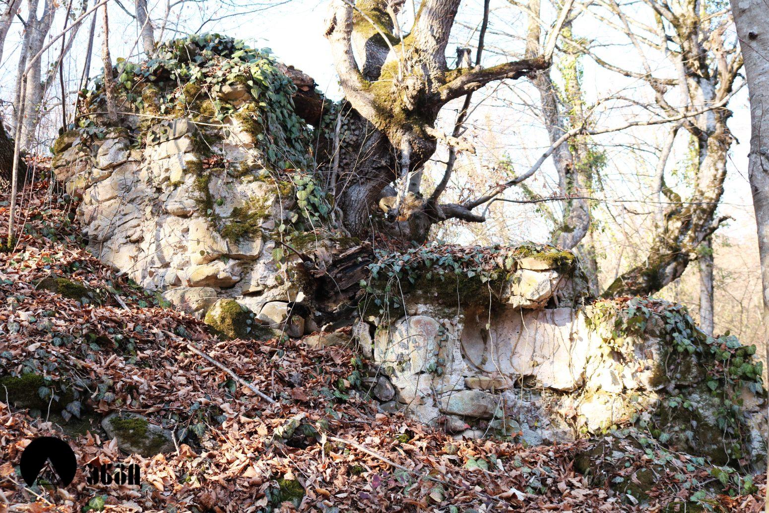 შაშიანის სამება (შაშიანის სამების კომპლექსი)