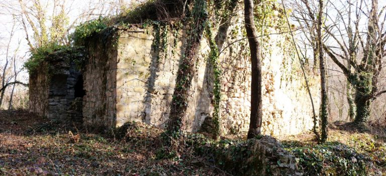 შაშიანის სამება (შაშიანის სამების კომპლექსი) შაშიანის სამება (შაშიანის სამების კომპლექსი)