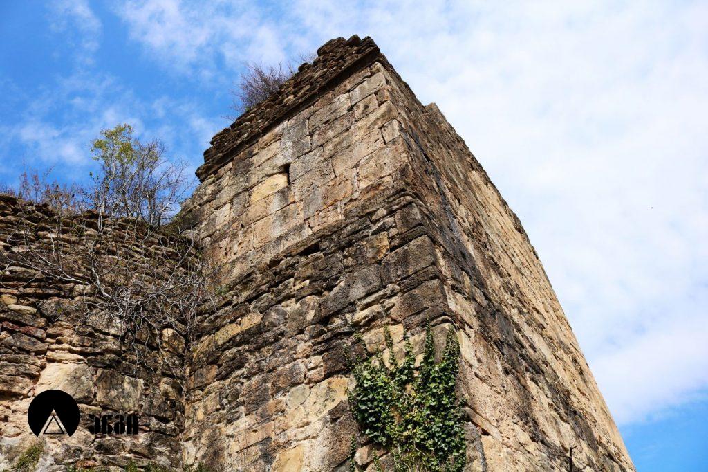 ბუჯის ციხის კომპლექსი (საზანოს ციხე)