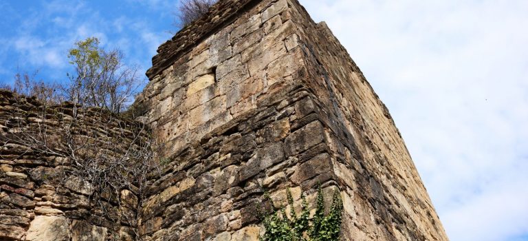 ბუჯის ციხის კომპლექსი (საზანოს ციხე) ბუჯის ციხის კომპლექსი (საზანოს ციხე)