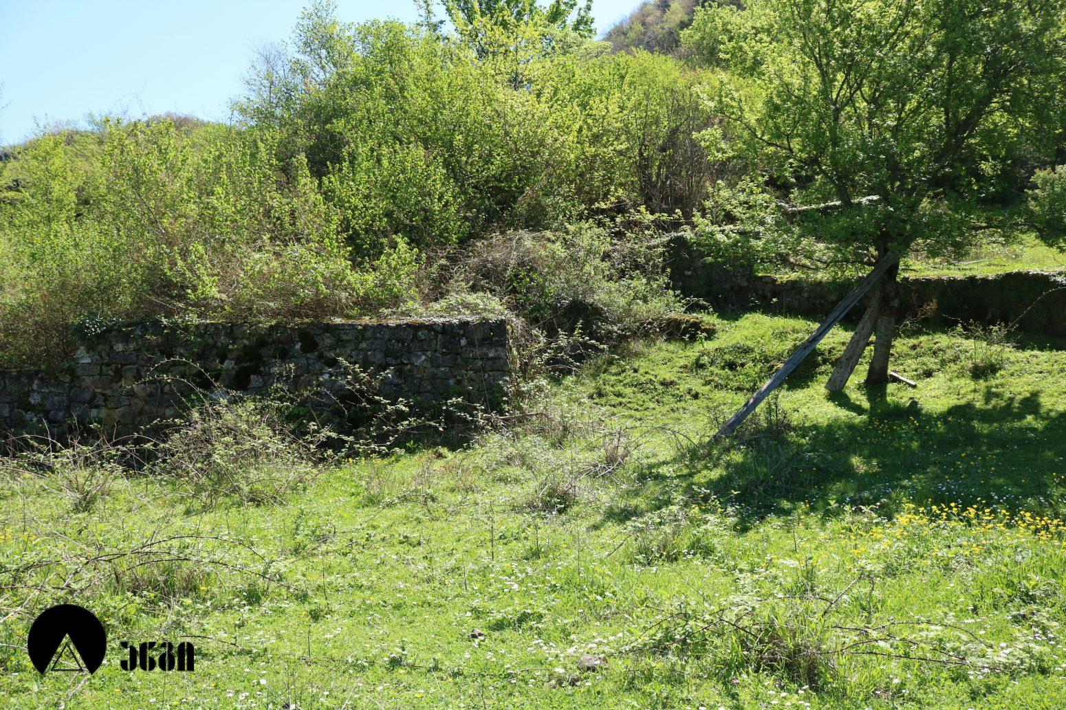 გელათის სოხასტერი