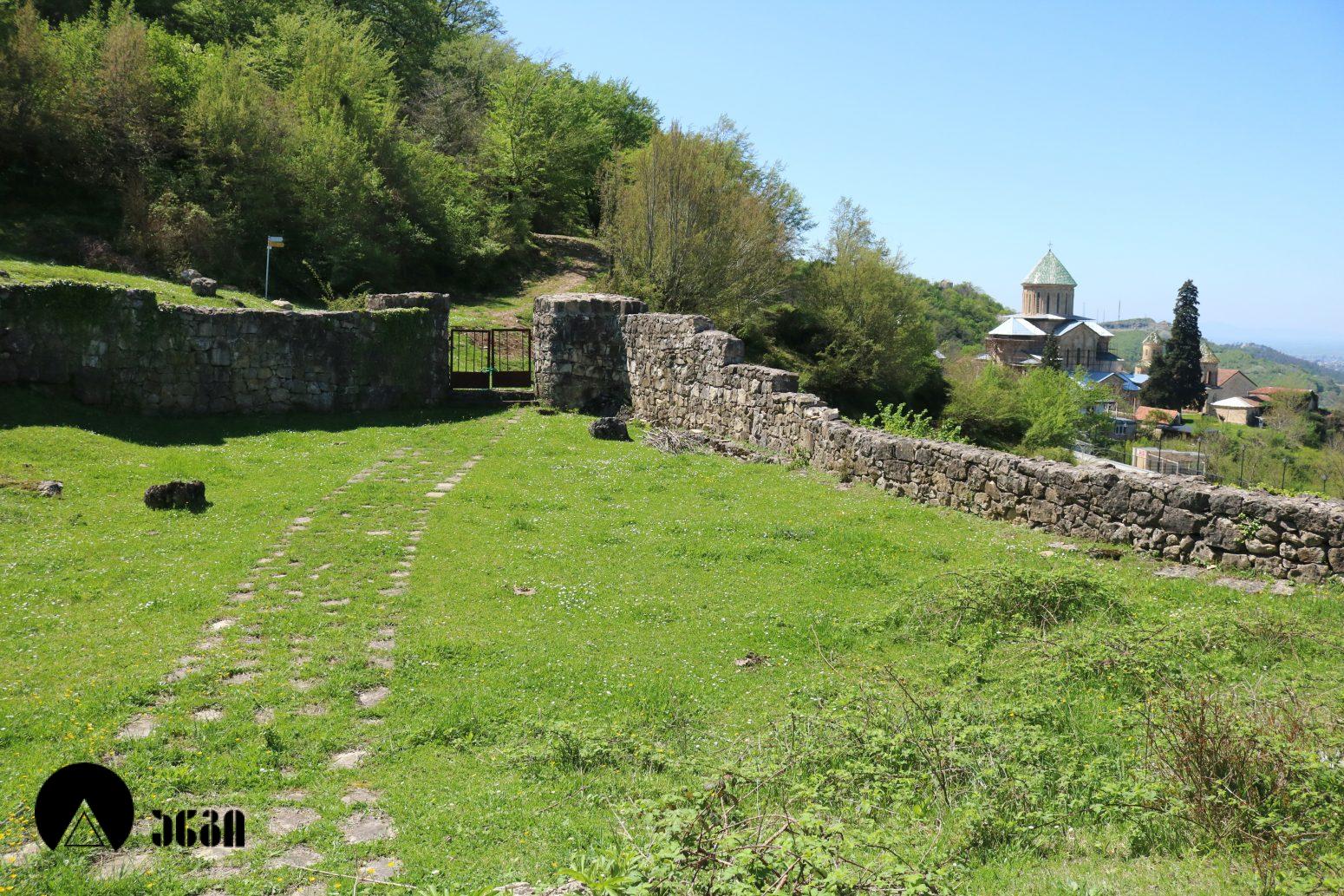 გელათის სოხასტერი