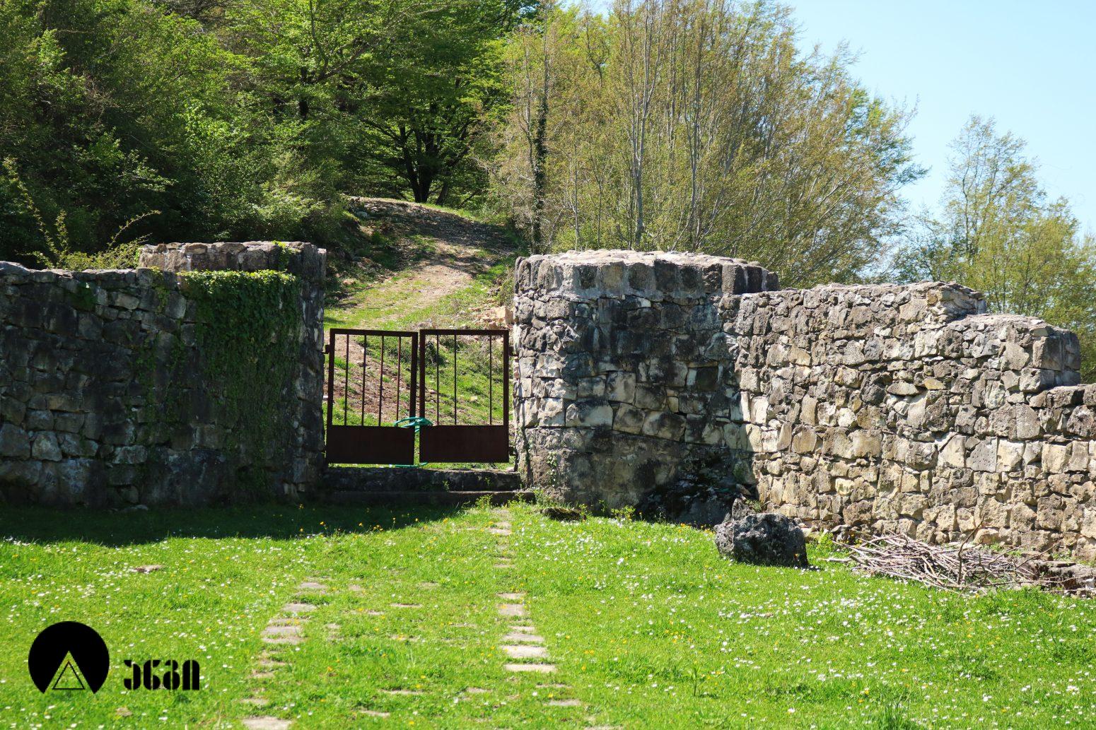 გელათის სოხასტერი