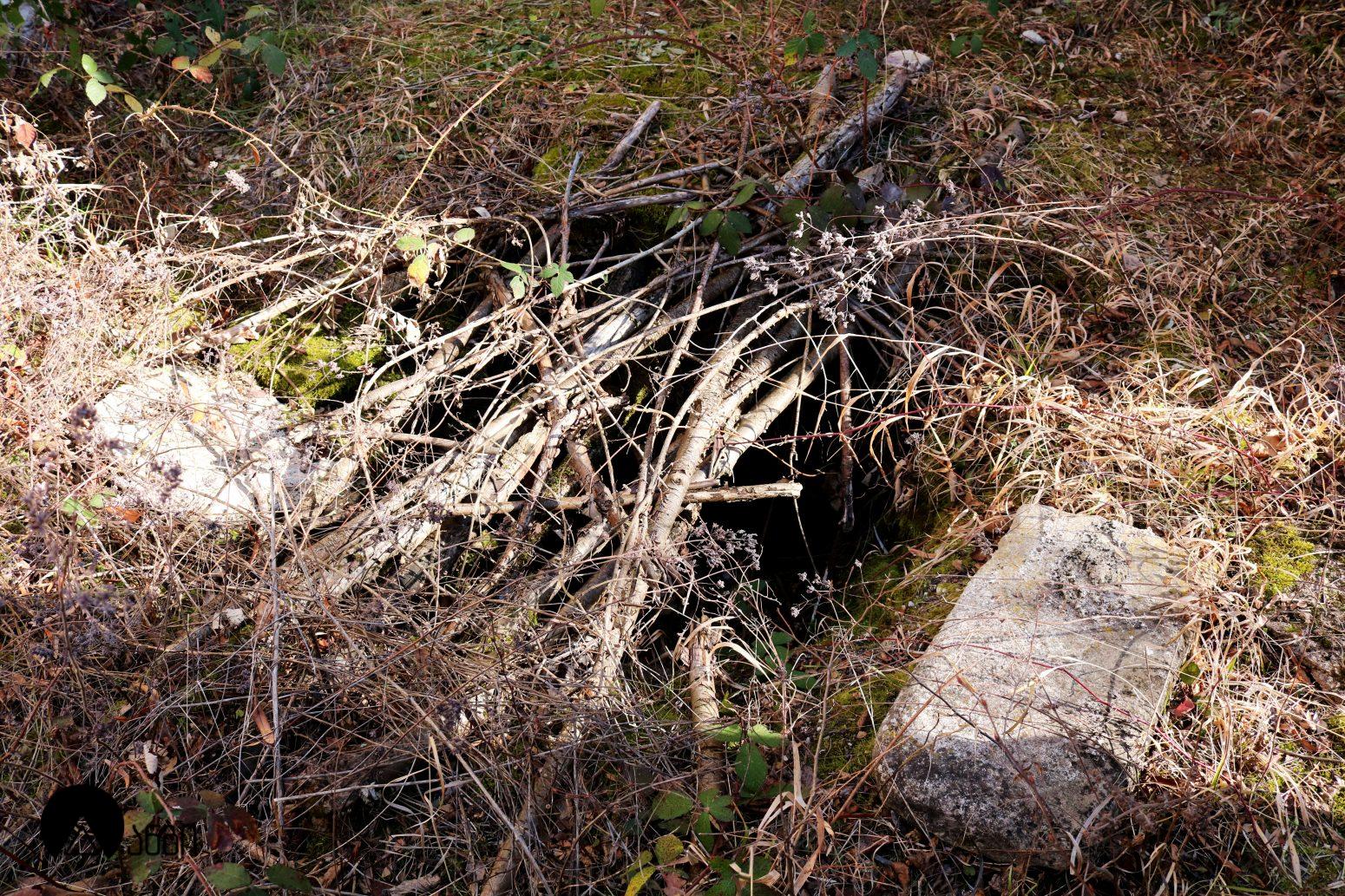 ჭერემის მამა დავითის ეკლესია