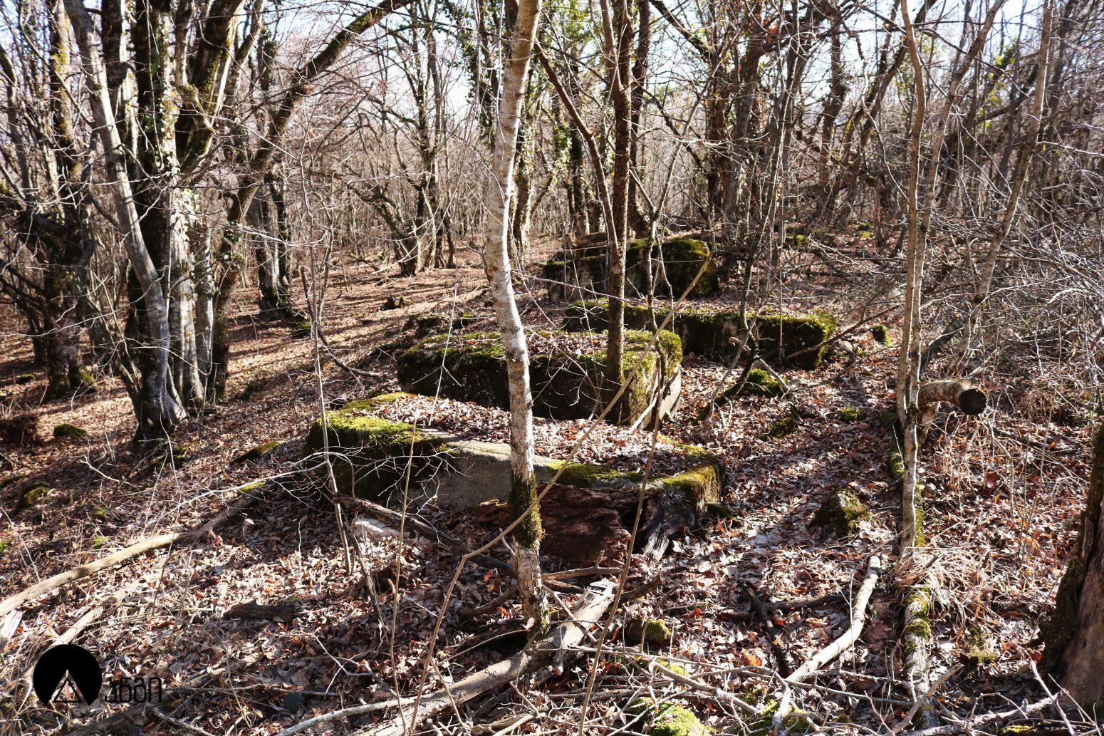 ჭერემის მამა დავითის ეკლესია