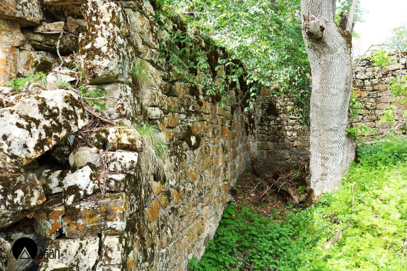 მთავართას კომპლექსი