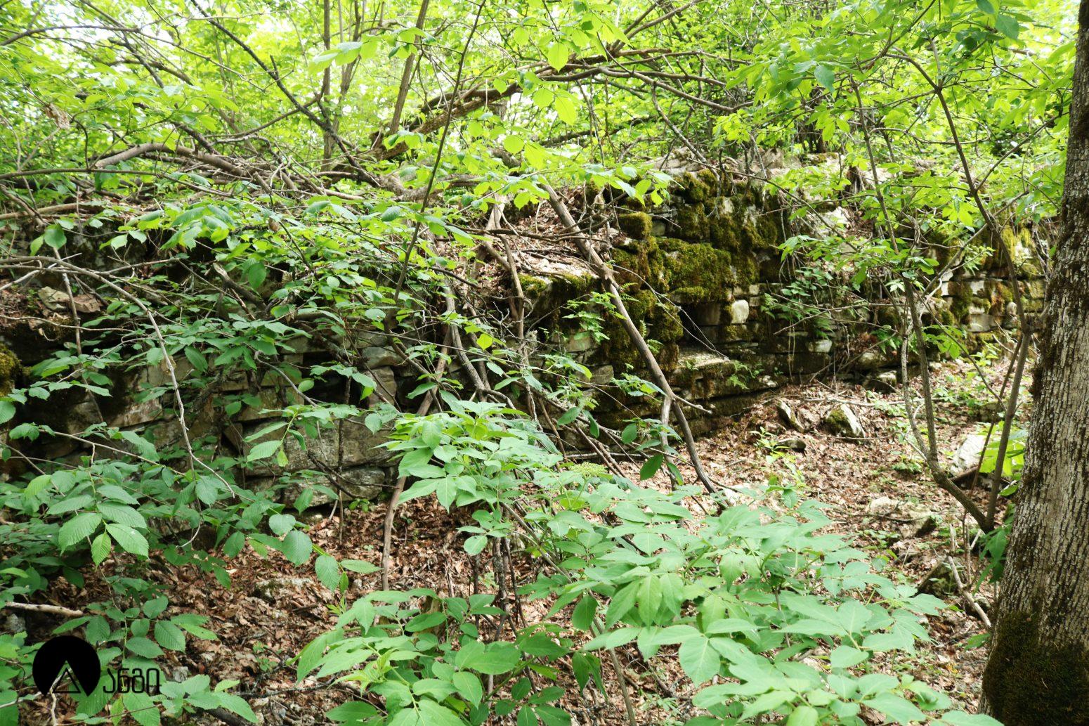 მთავართას კომპლექსი