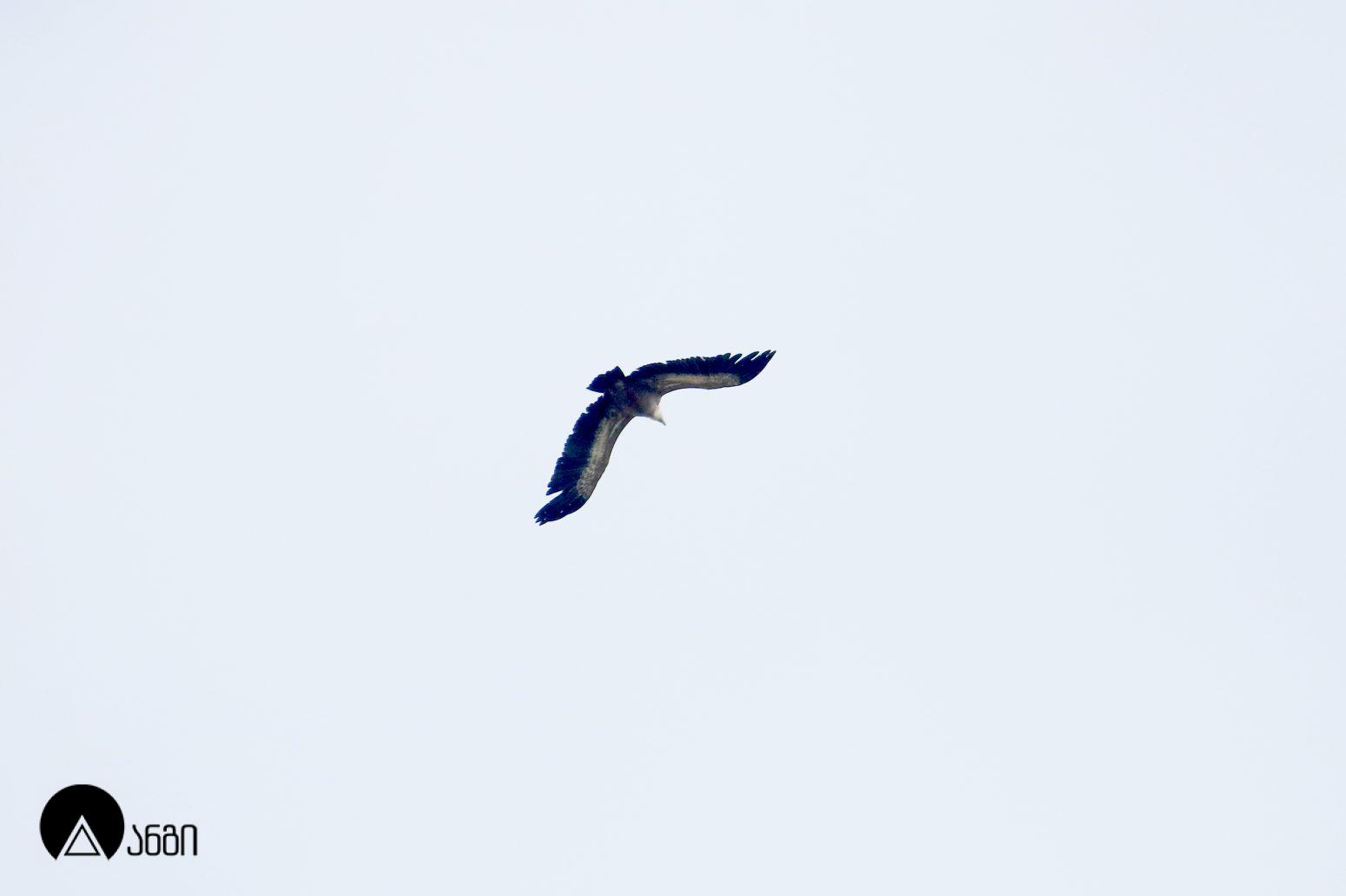 გარეჯის დიდი ქვაბების სამონასტრო კომპლექსი