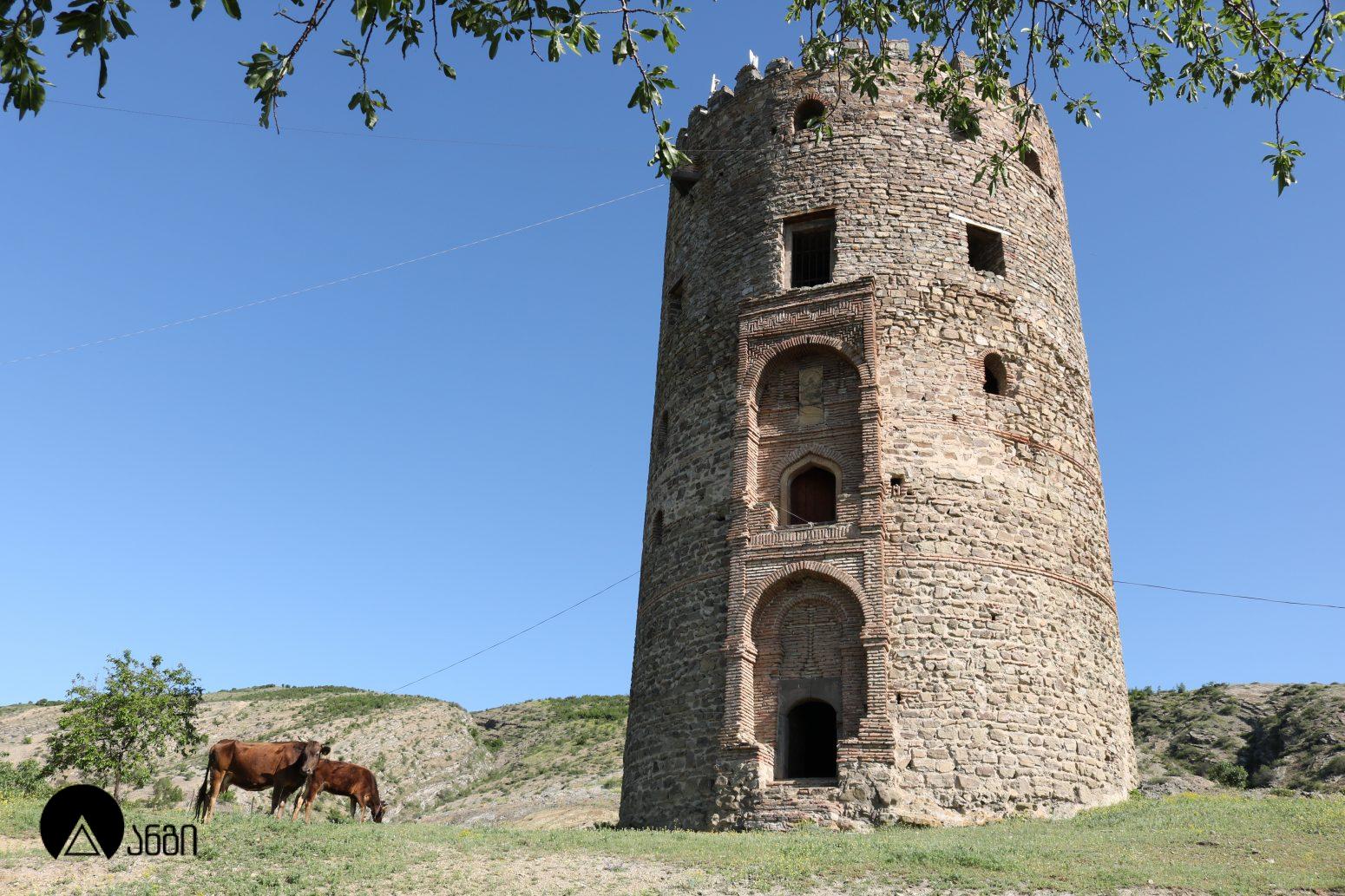 ვაშლოვანის "სალხინო" კოშკი